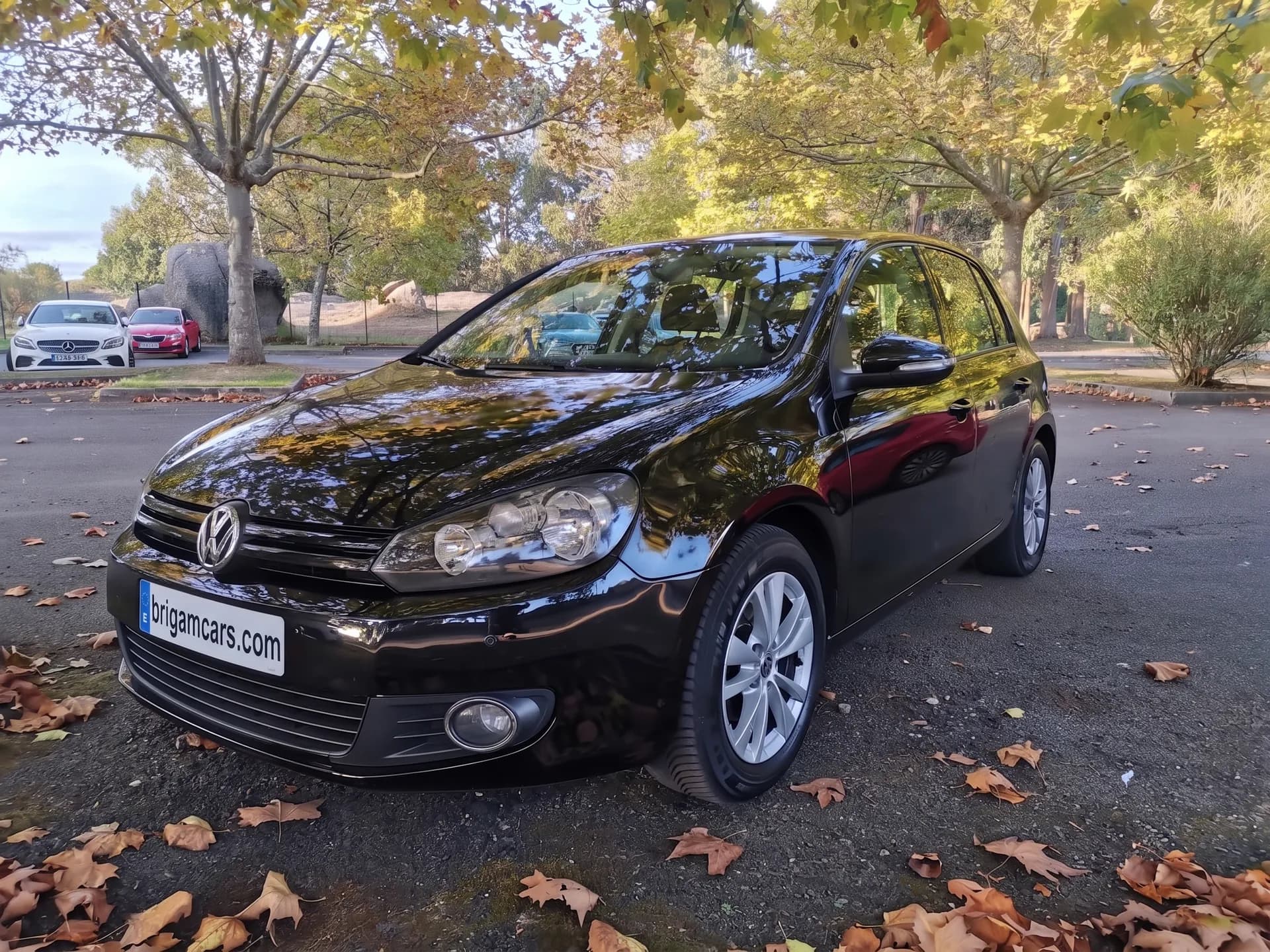 Volkswagen Golf 1.6 TDI BlueMotion